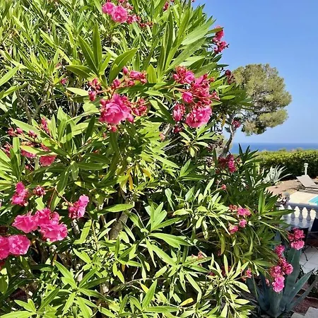 Hibiscus Comfortable 펜션 Saint-Raphaël